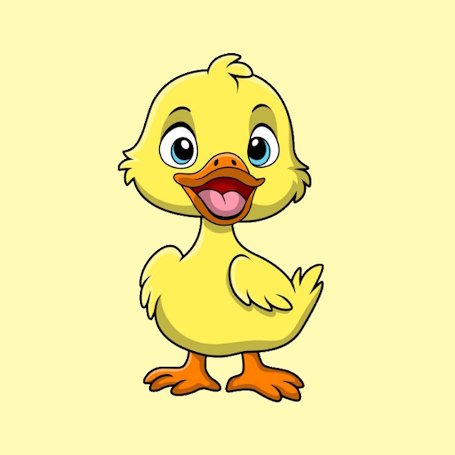 Caneton illustration