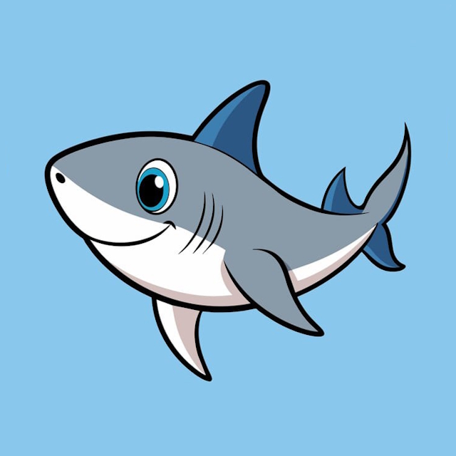 Requin illustration